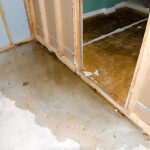 water damage company northport
