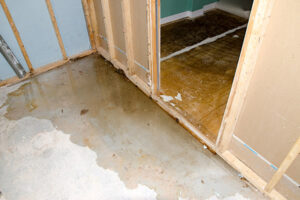 water damage company northport
